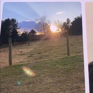 Meet your Posher, Patty